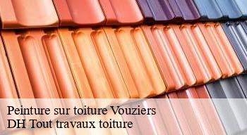 Peinture sur toiture  08400