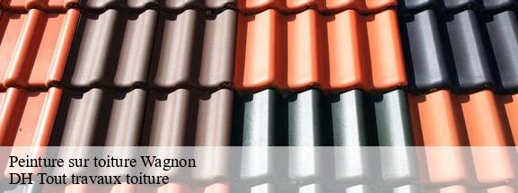 Peinture sur toiture  08270