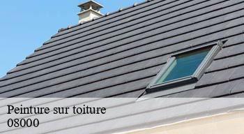 Peinture sur toiture 08000