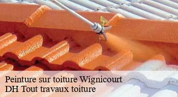 Peinture sur toiture  08270