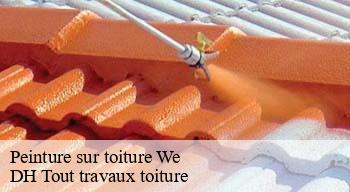 Peinture sur toiture  08110