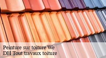 Peinture sur toiture  08110