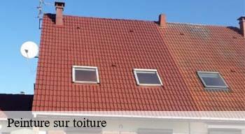 Peinture sur toiture  08110