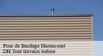 Pose de Bardage  08450