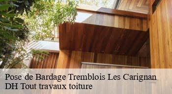 Pose de Bardage  08110