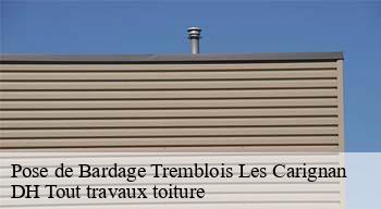 Pose de Bardage  08110