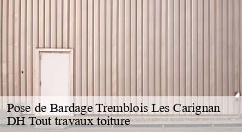 Pose de Bardage  08110