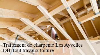 Traitement de charpente 08000