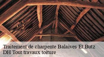 Traitement de charpente  08160