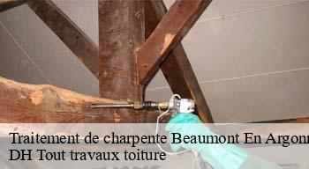 Traitement de charpente  08210
