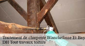 Traitement de charpente 08290