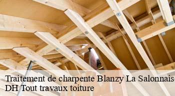 Traitement de charpente  08190