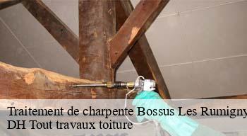 Traitement de charpente  08290