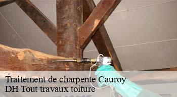 Traitement de charpente  08310