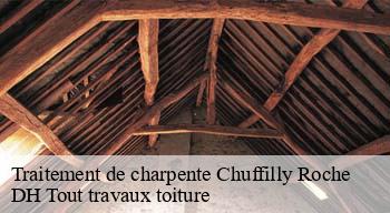 Traitement de charpente  08130