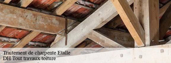 Traitement de charpente  08260