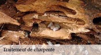 Traitement de charpente  08700