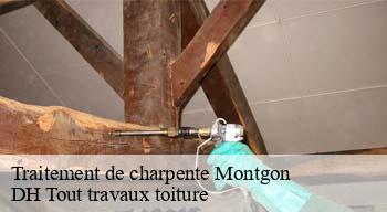 Traitement de charpente  08390