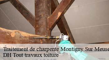 Traitement de charpente 08170