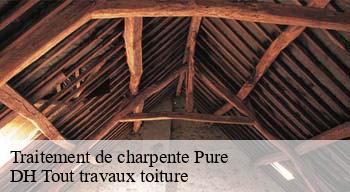 Traitement de charpente  08110