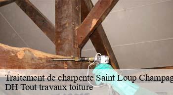 Traitement de charpente  08300