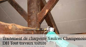 Traitement de charpente  08130