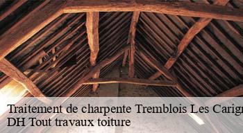 Traitement de charpente  08110