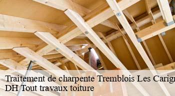 Traitement de charpente  08110