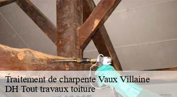 Traitement de charpente  08150
