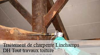 Traitement de charpente  08800
